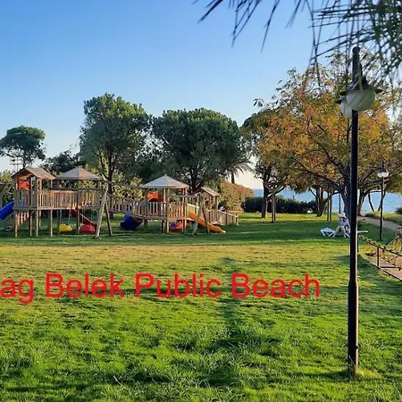 The Wind Sycamore In Villa Belek