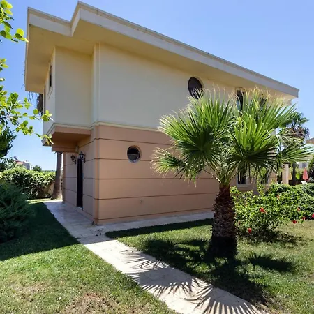 The Wind Sycamore In Villa *